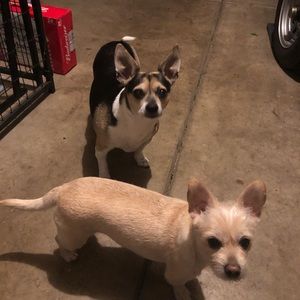 Meet your Posher, Gigi